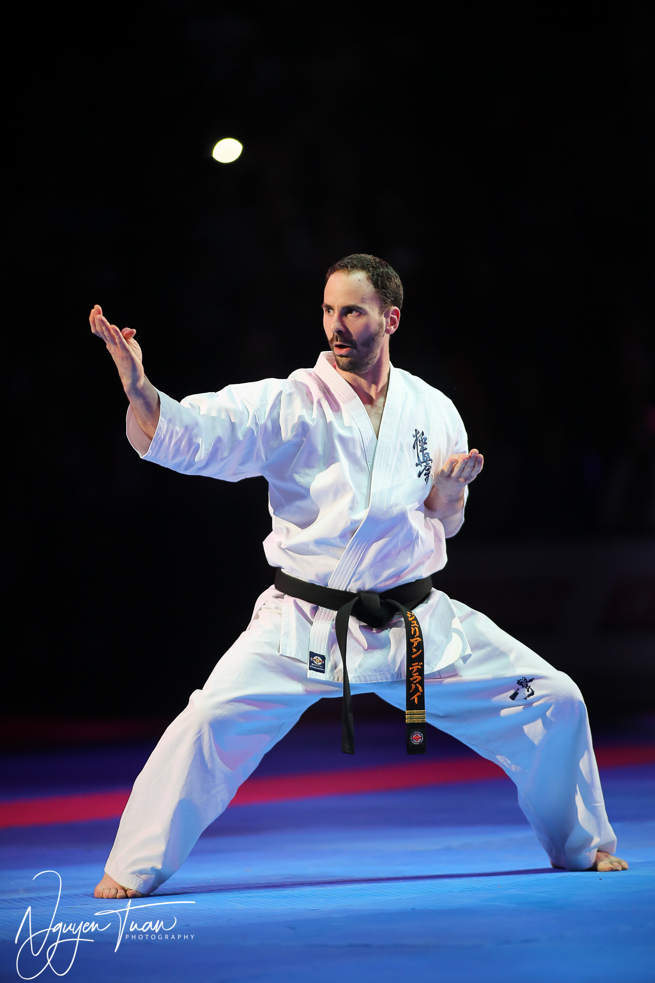 20190324 Festival des Arts Martiaux 5859